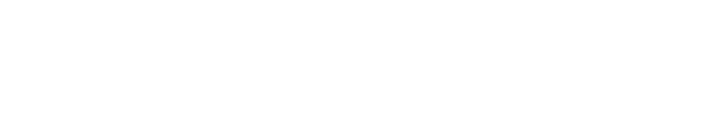 Berlina_Logo